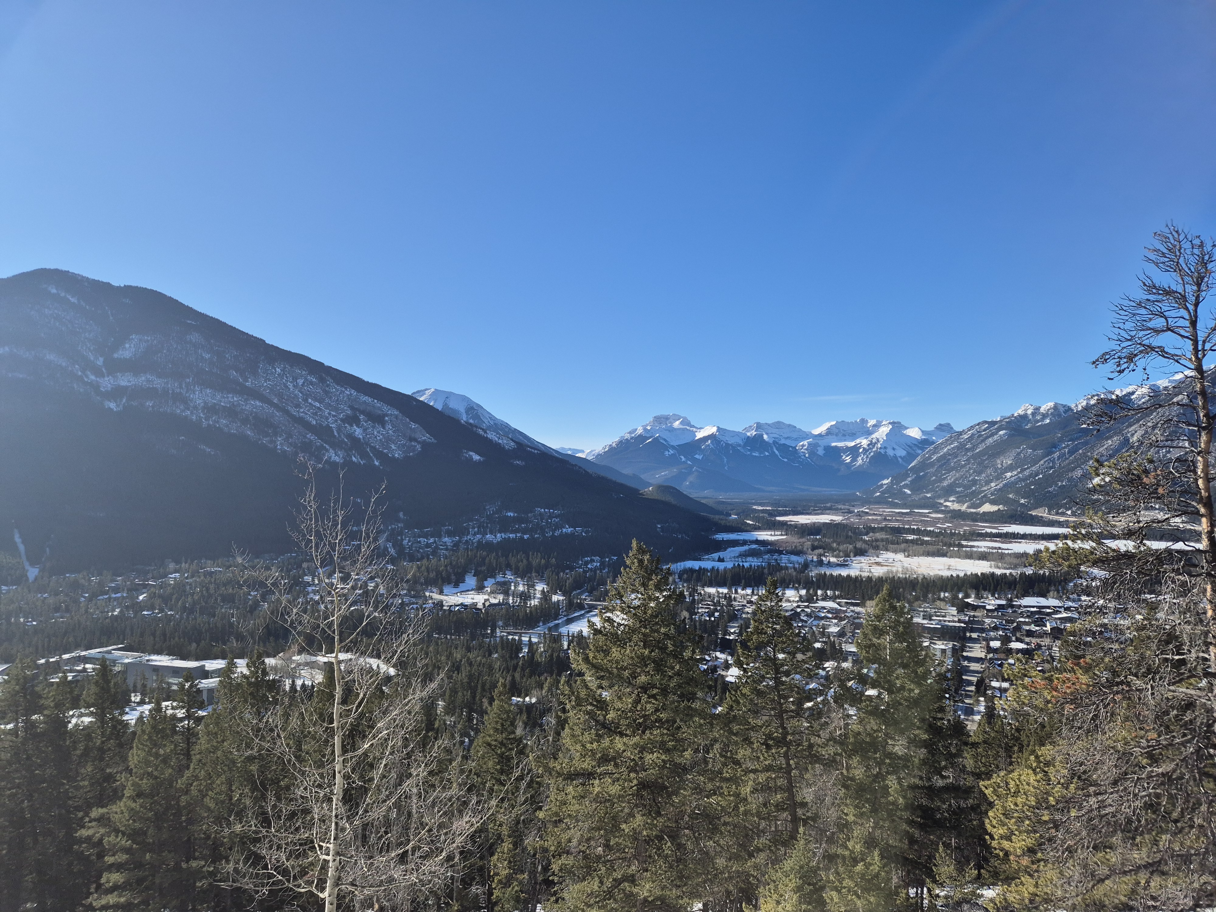 Description of the image